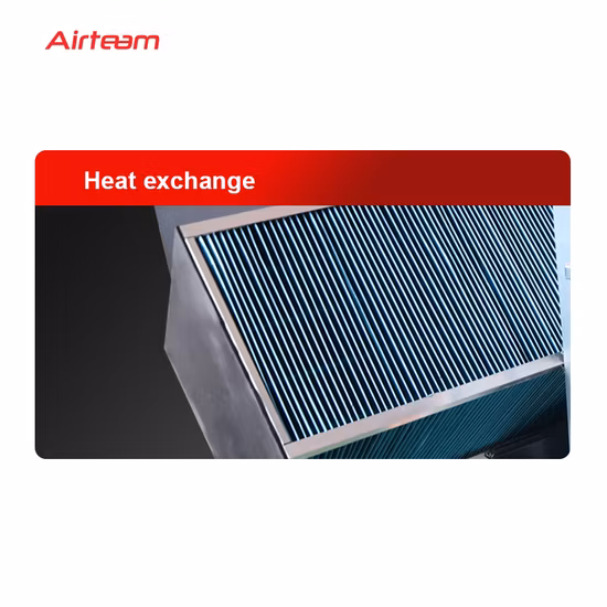 L'aspiration forte commerciale purifie le ventilateur de ventilateur d'ERV d'échange d'énergie de polluants