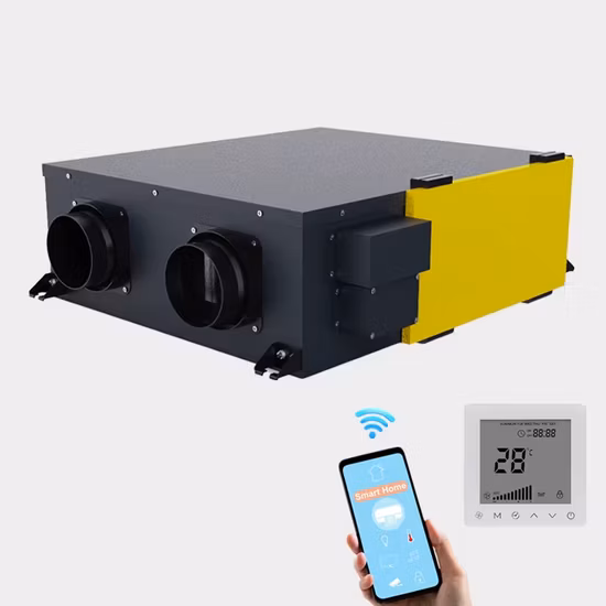 Système de CVC Type de plafond Erv Hrv Alimentation en air frais Machine de purification Unité de traitement d'air Filtre à faible bruit Ventilateur mécanique centrifuge